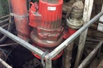 Vegetable washing system (Austria)